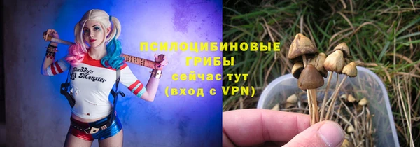 стафф Балахна
