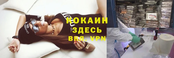 мяу мяу мука Баксан