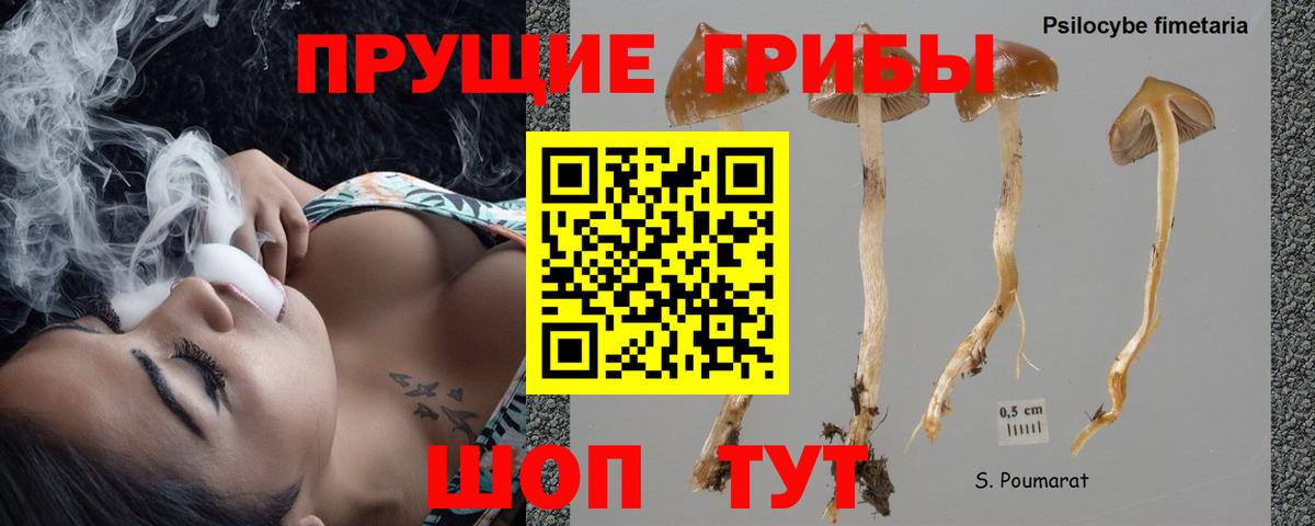 Псилоцибиновые грибы мицелий  Вход с VPN  Вольск 