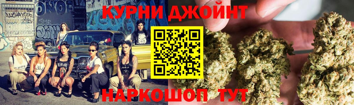 Конопля индика Вольск